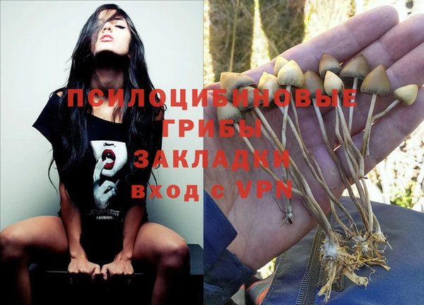 мяу мяу кристалл Арсеньев