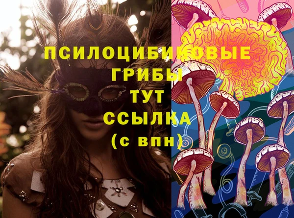 хмурый Армянск