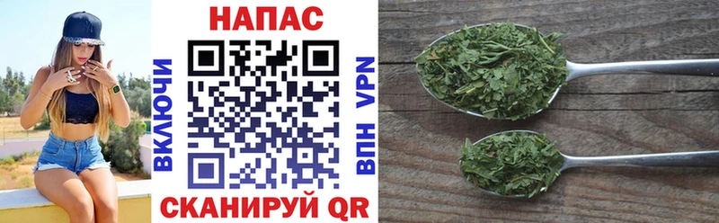 Канабис OG Kush  Бирюч 